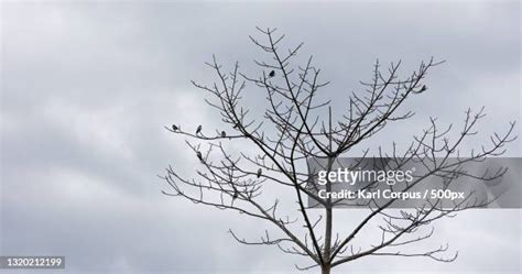 74 San Jose Del Monte Bulacan Stock Photos & High.